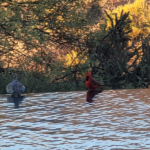 Thumbnail 36